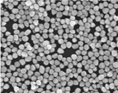 Модифицированные стрептавидином наночастицы серебра (d = 10 нм)